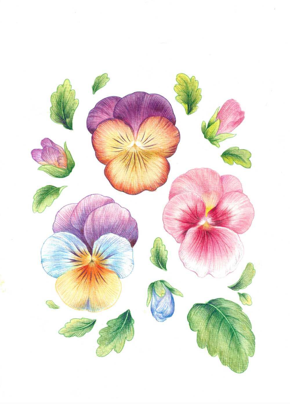 Colored by Sarah